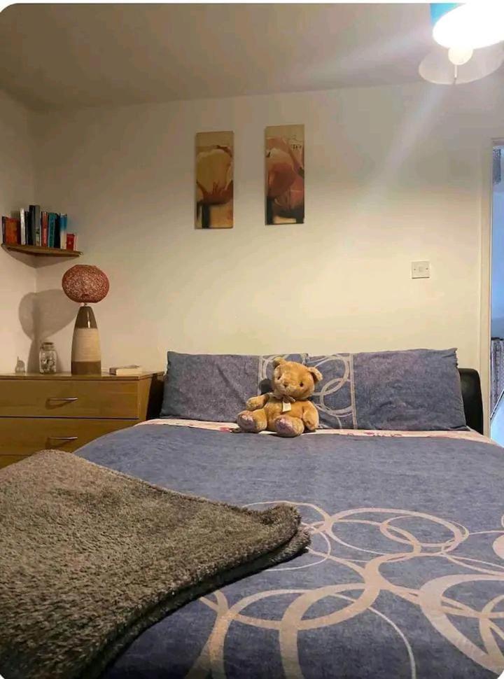 Apartmán Castleton Belfast Exteriér fotografie