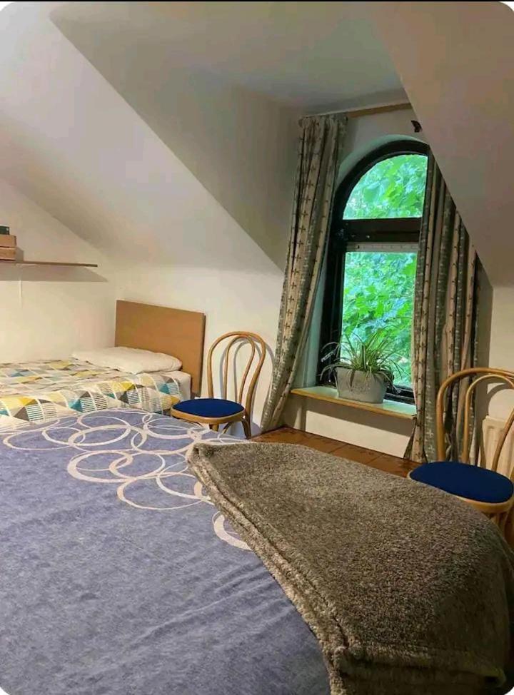 Apartmán Castleton Belfast Exteriér fotografie