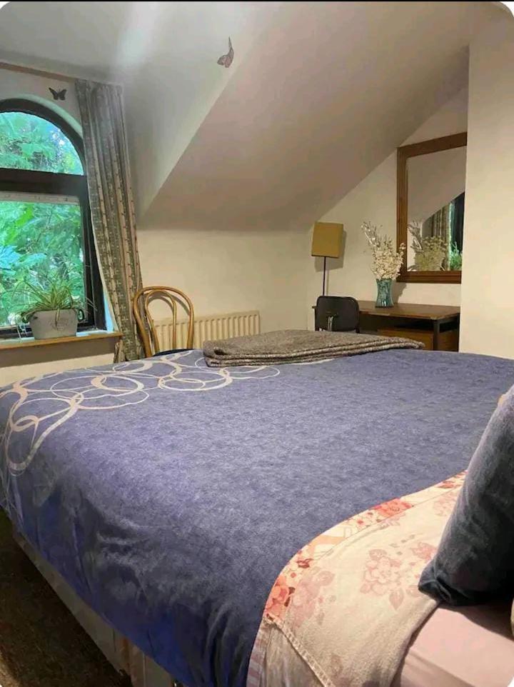 Apartmán Castleton Belfast Exteriér fotografie