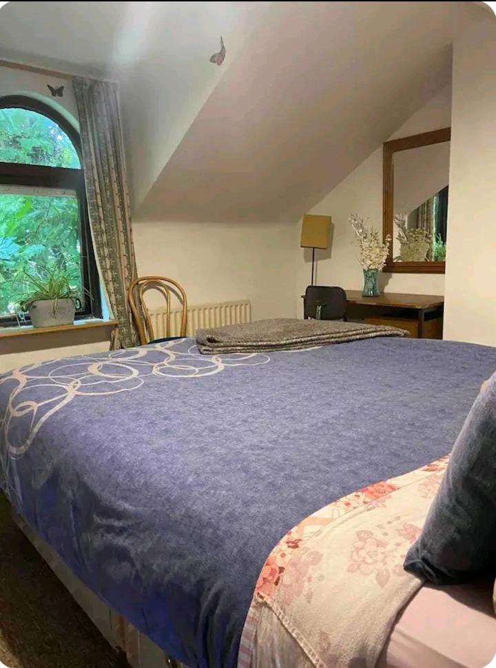 Apartmán Castleton Belfast Exteriér fotografie